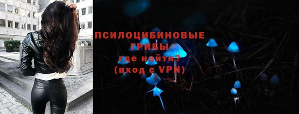амф Богородск