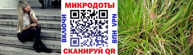 Псилоцибиновые грибы мицелий  Давлеканово 